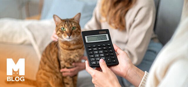 Kedi Yaş Hesaplama - Kedilerde İnsan Yaşı