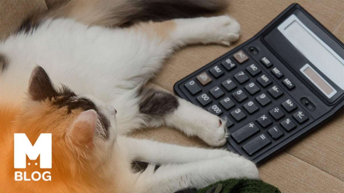 Kedi Yaşı Hesaplama - Kedilerde İnsan Yaşı