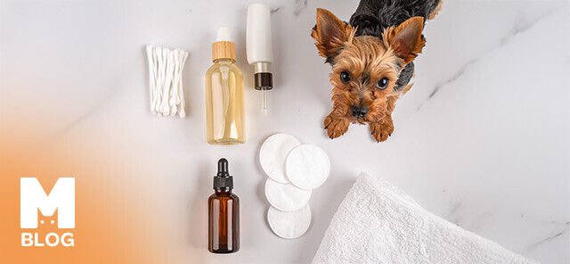 Köpek Kulak Temizliği Sıklığı ve Doğru Uygulama