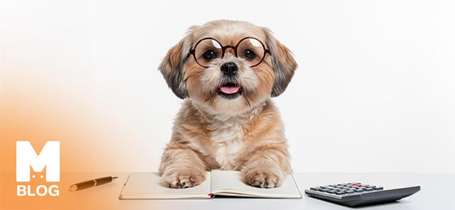 Köpeklerin Yaşı Nasıl Hesaplanır? Köpek Yaşı Hesaplama Tablosu