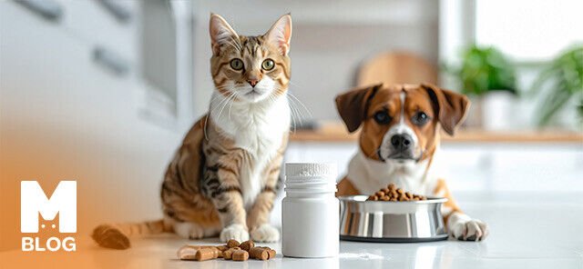 Taurin Nedir? Kediler ve Köpekler için Faydaları