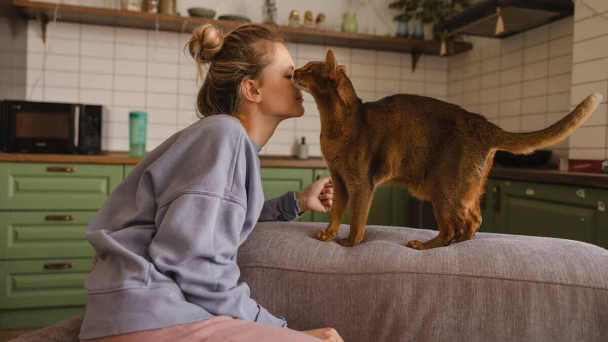 Kedi Piresi İnsana Geçer mi?
