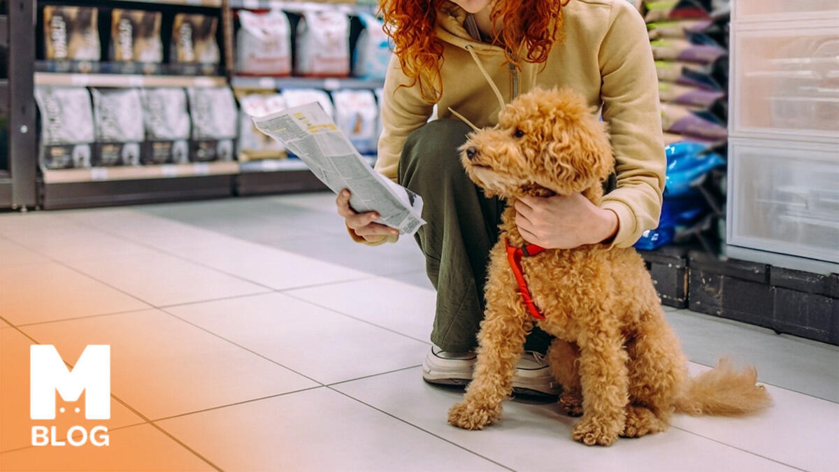 Köpek Mamalarında Hayvansal Yan Ürünler Nelerdir? Mama Satın Alırken Dikkat Edilmeli mi?
