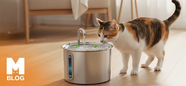 Kedinizin Su Tüketimini Artırmanın Yolları