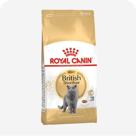Özel Irk Kedi Maması