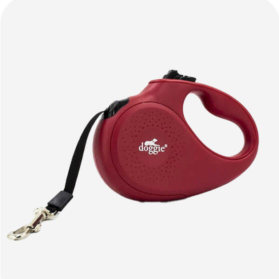 Otomatik Köpek Tasması