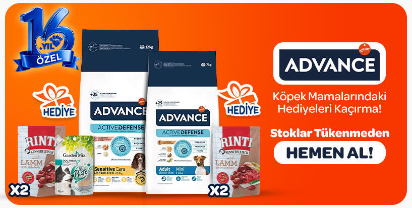 Advance köpek