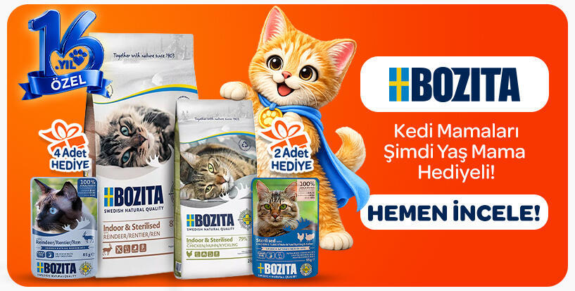 Bozita Kedi
