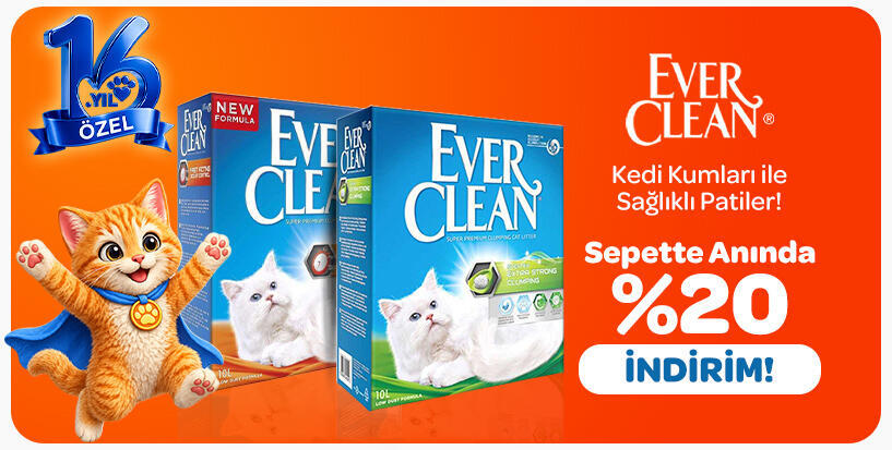 Everclean