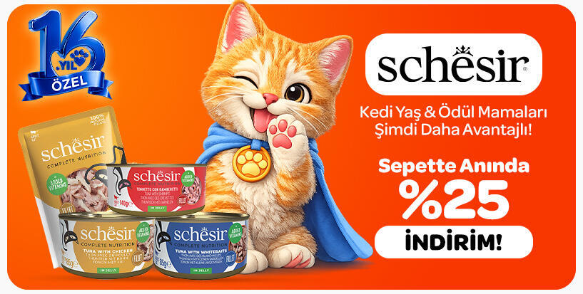Schesir
