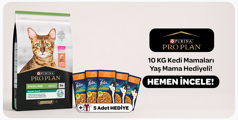 pro plan kedi maması