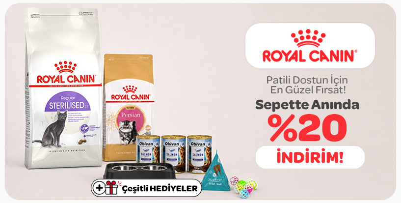 royal canin kedi maması