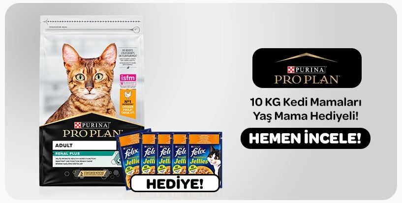 pro plan kedi maması