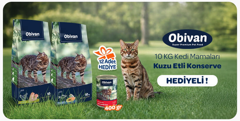 obivan kedi