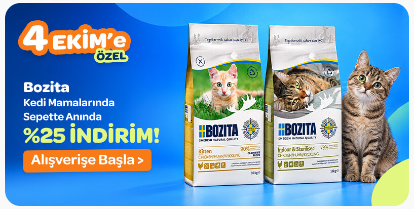 Bozita Kedi