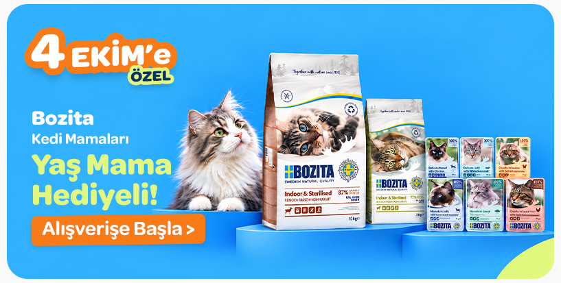 Bozita Kedi