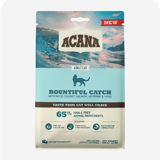 Acana Kedi Maması