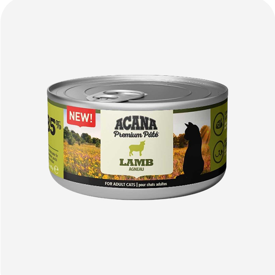 Acana Kedi Yaş Maması