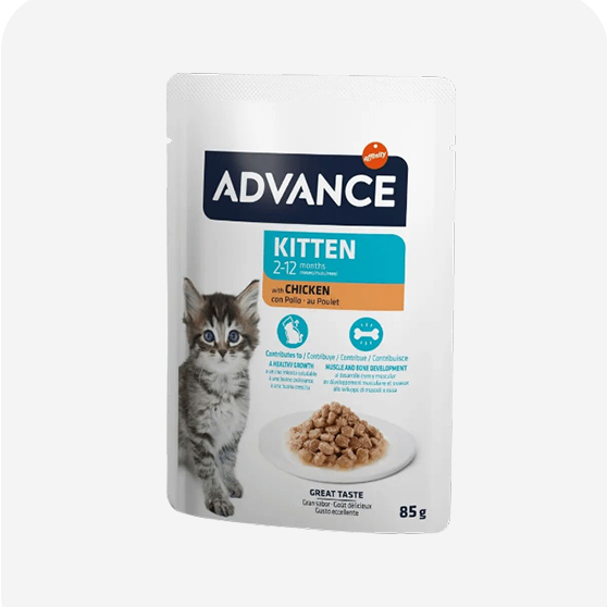 Advance Kedi Yaş Maması