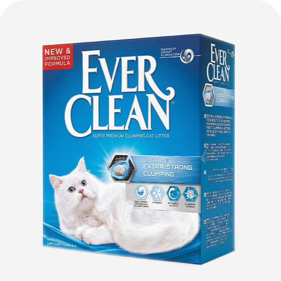 Bentonit Kedi Kumu