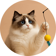 Kedi Oyuncakları