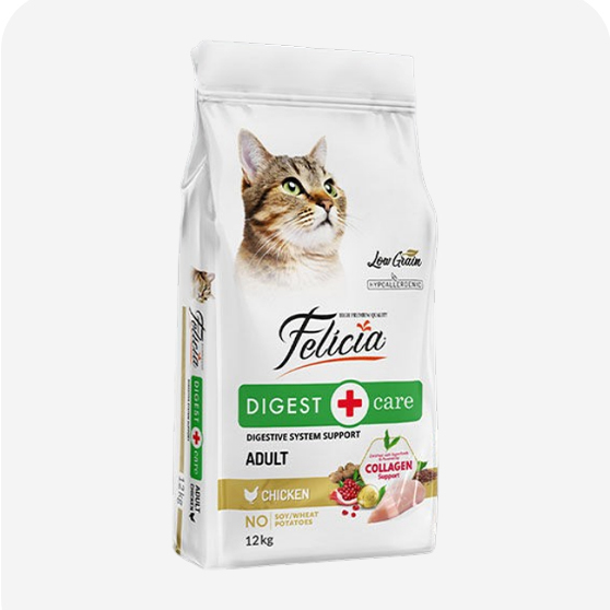 Felicia Kedi Maması
