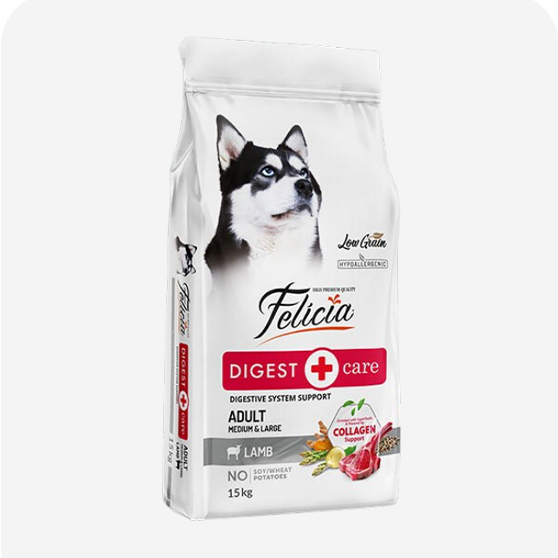 Felicia Köpek Maması