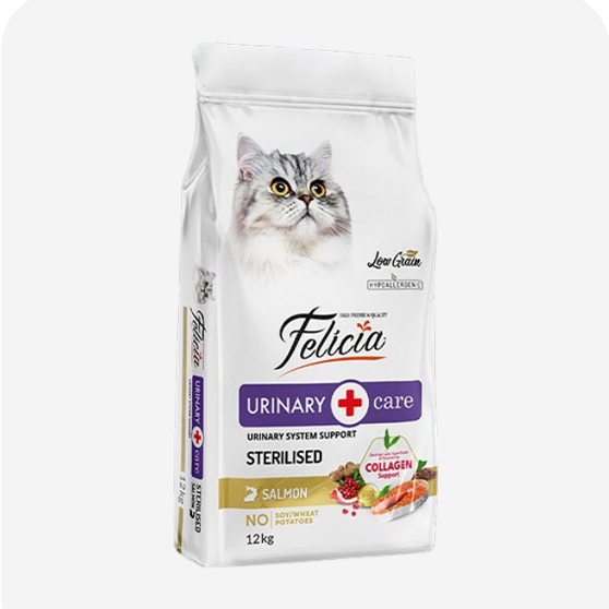 Felicia Yetişkin Kedi Maması
