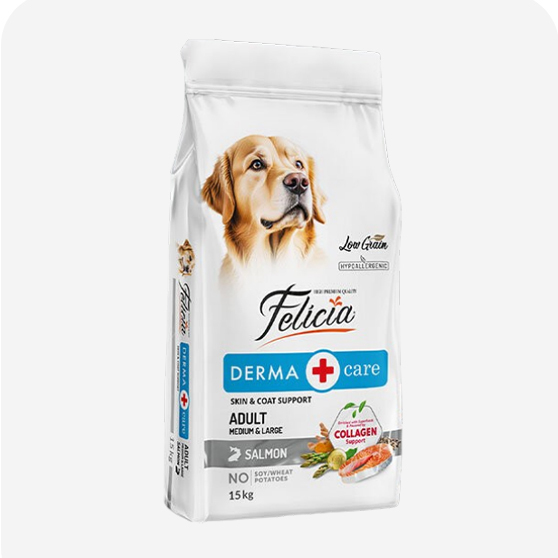 Felicia Yetişkin Köpek Maması