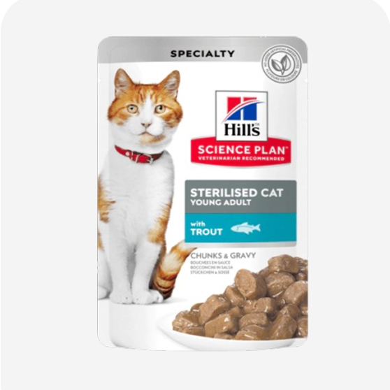 Hills Kedi Yaş Maması