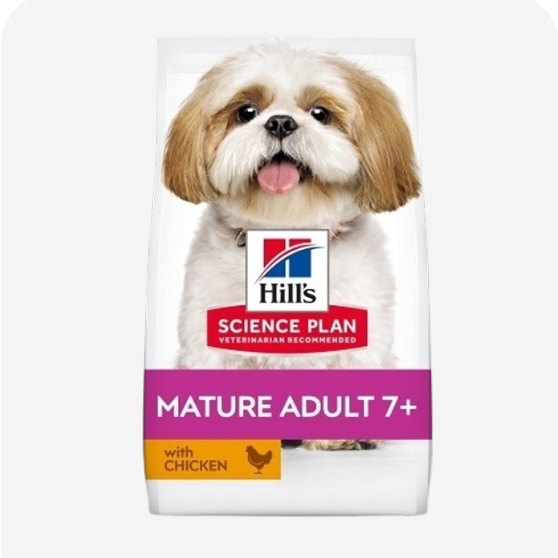 Hills Yaşlı Köpek Maması