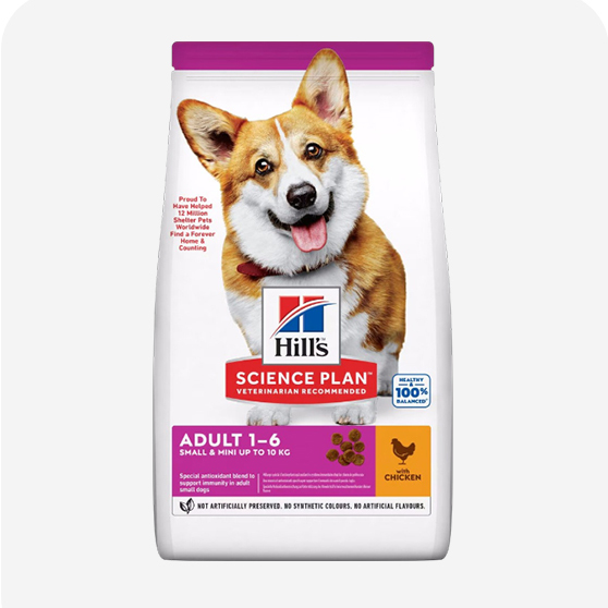 Hills Yetişkin Köpek Maması