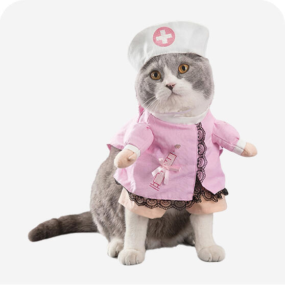 Kedi Kıyafetleri