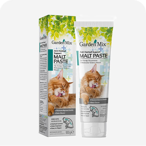Kedi Maltı