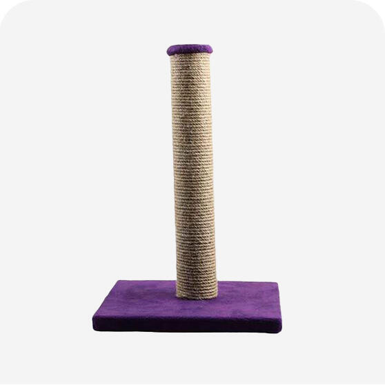 Kedi Tırmalamaları