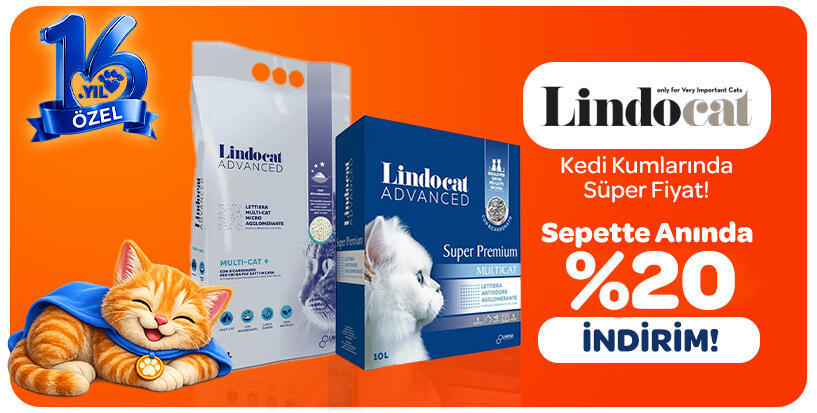 Lindocat