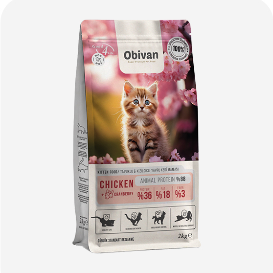 Obivan Yavru Kedi Maması
