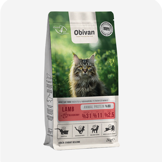 Obivan Yetişkin Kedi Maması