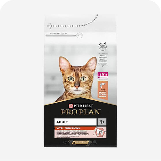 Pro Plan Kedi Maması