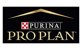 Pro Plan