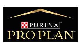 Pro Plan