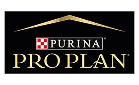 Pro Plan