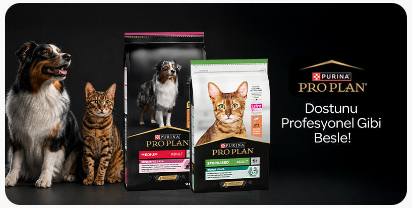 proplan