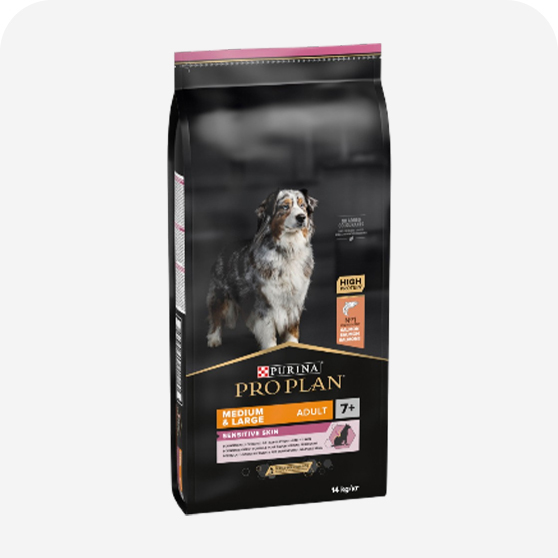 Pro Plan Yaşlı Köpek Maması