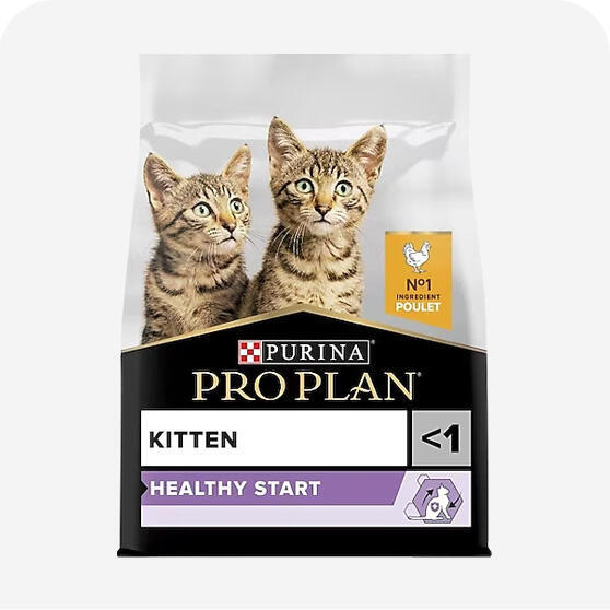 Pro Plan Yavru Kedi Maması