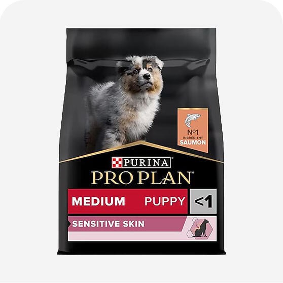 Pro Plan Yavru Köpek Maması