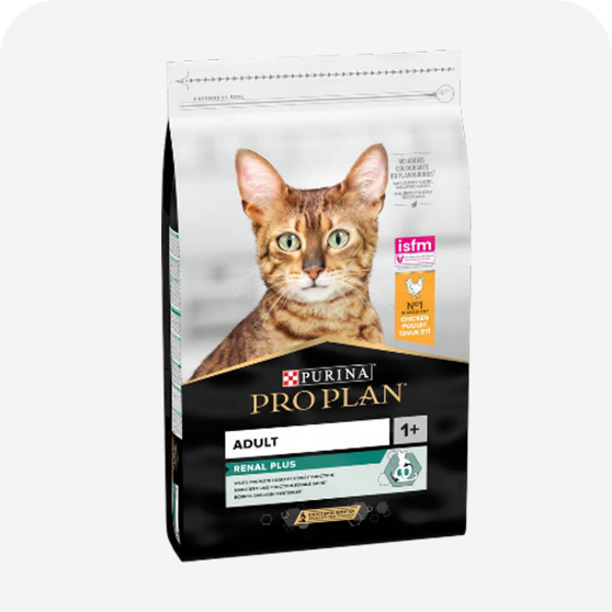 Pro Plan Yetişkin Kedi Maması