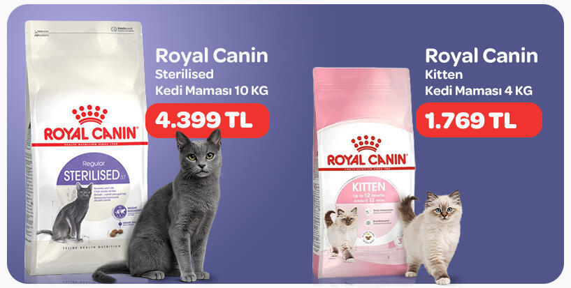 royal canin kedi