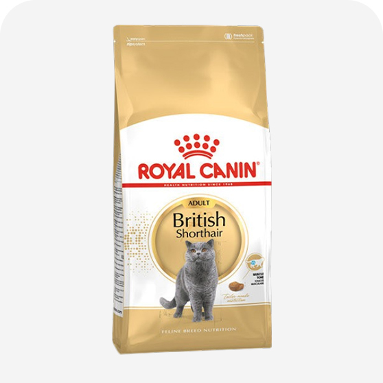 Royal Canin Özel Irk Kedi Maması