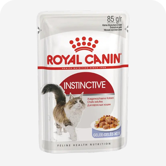 Royal Canin Kedi Yaş Maması